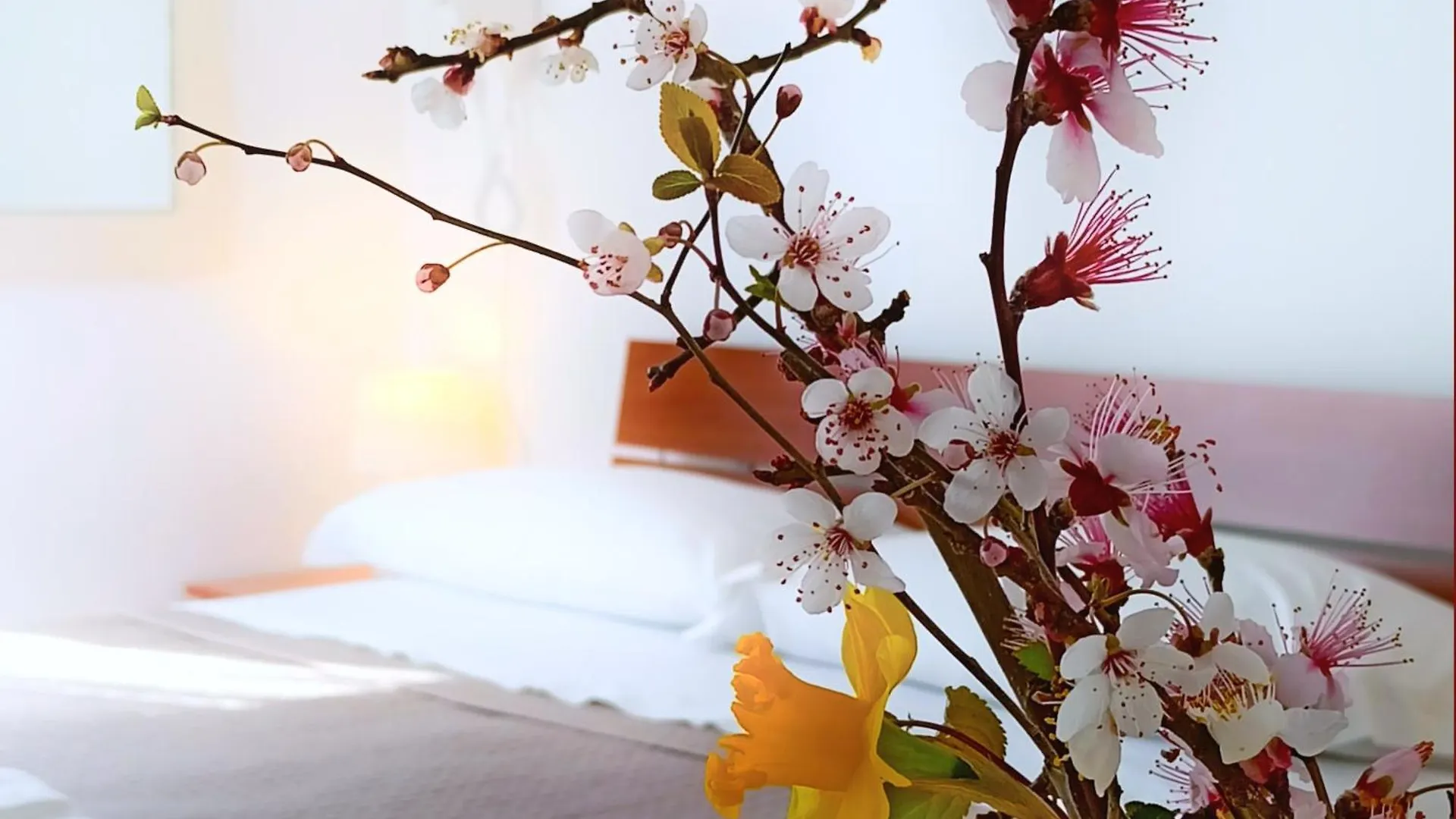 Beeliving Room&Breakfast (Adults Only) Riccione Bed & Breakfast